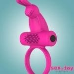 Boreas Vibrating Rabbit Penis Ring- new.www.sextoyinhyderabad.com
